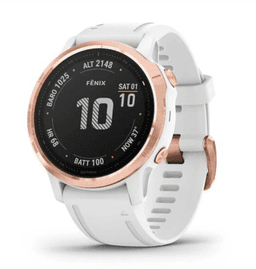 Smartwatch Garmin Fenix 6S