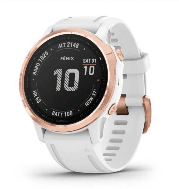 Smartwatch Garmin Fenix 6S